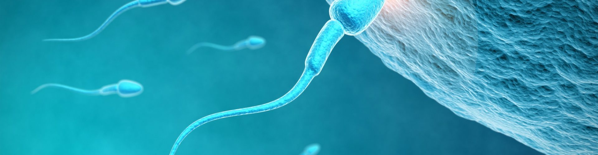 unzureichende Spermienqualität