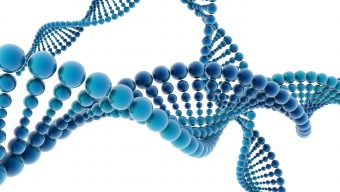 Genetische Präimplantationsdiagnostik (PID)