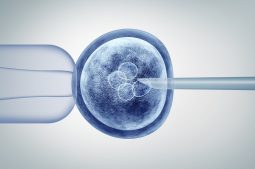 Genetischen Präimplantationstests: Debatte über die Genauigkeit von nicht-invasiven Tests