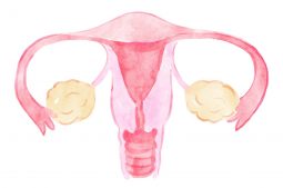 Was ist die ovarielle Reserve?