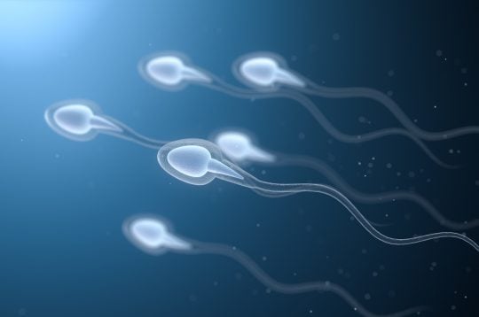 Durchbruch in der männlichen Fertilität: Hyperspektrale Bildgebung ermöglicht Auswahl von Spermien mit höherem Reproduktionspotenzial