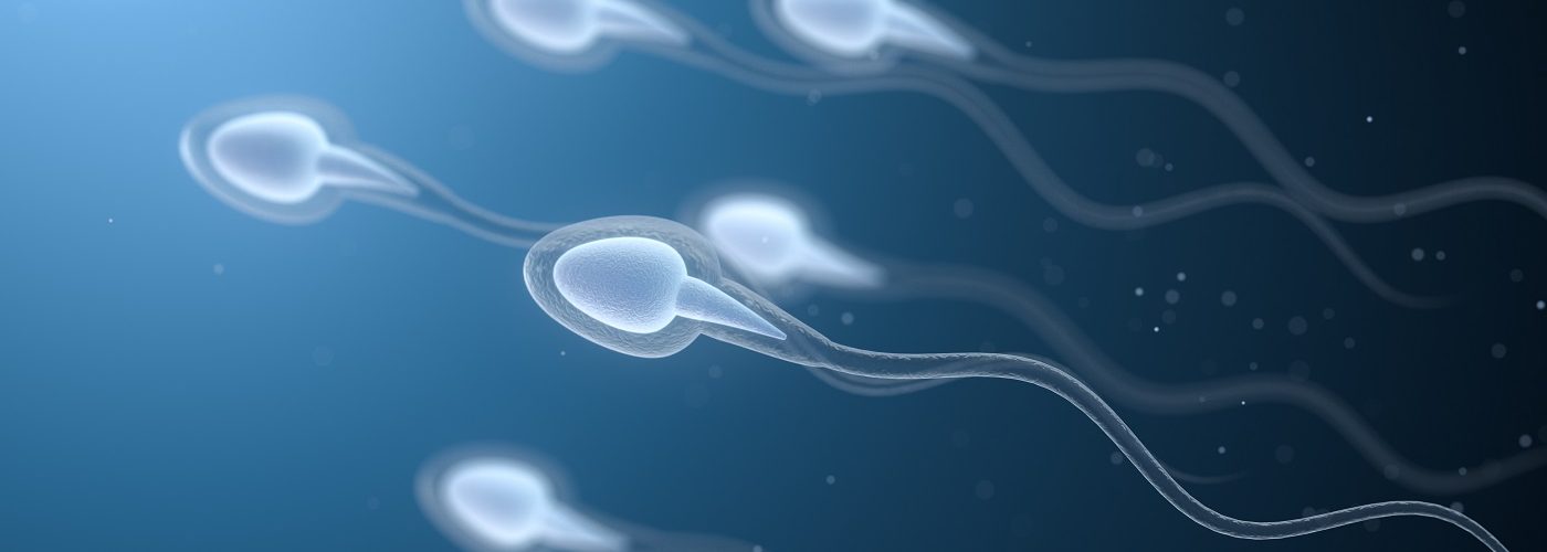 Spermienqualitat