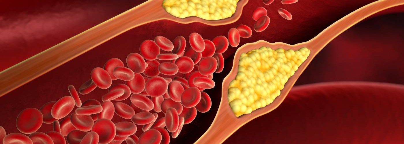 Cholesterin und Fruchtbarkeit