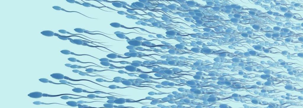 Oligozoospermie und Kryptozoospermie: Behandlungen