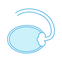 Ovarielle Stimulation