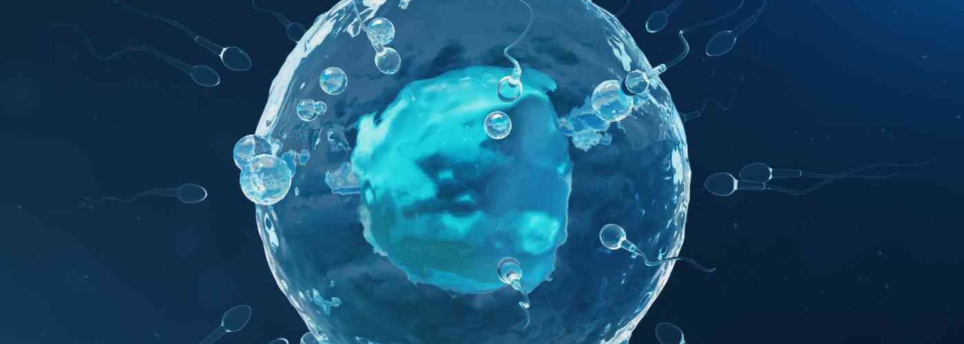 Wiederherstellung der Eierstockfunktion