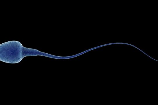 Durchbruch in der männlichen Fertilität: wie hyperspektrale Bildgebung die Zahl entwicklungsfähiger Embryonen verdoppeln könnte