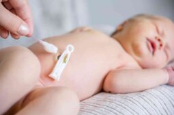 Nabelschnurblutspenden als Lösung bei weiblicher Unfruchtbarkeit aufgrund endometrialer Pathologien