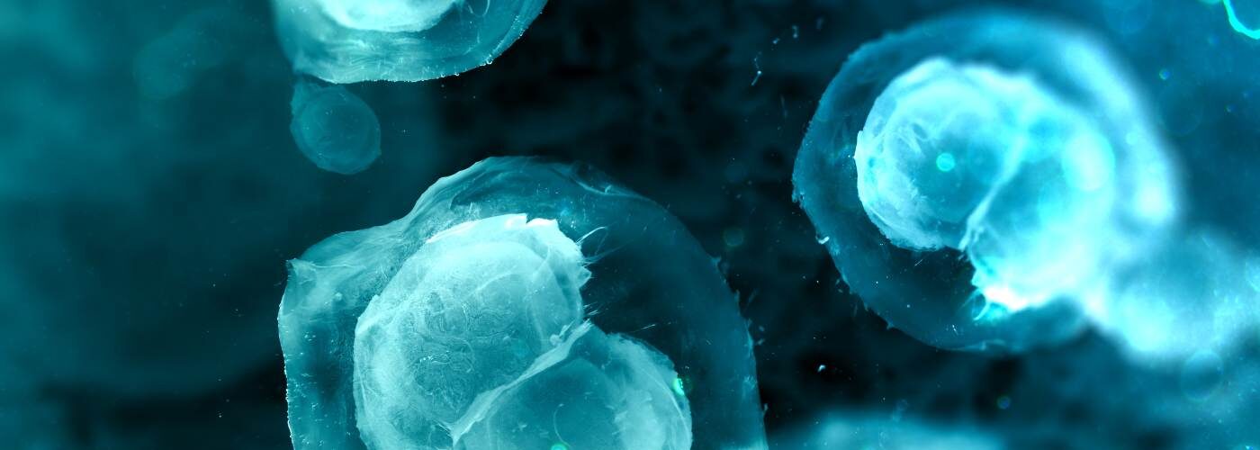 Antioxidantien bei IVF